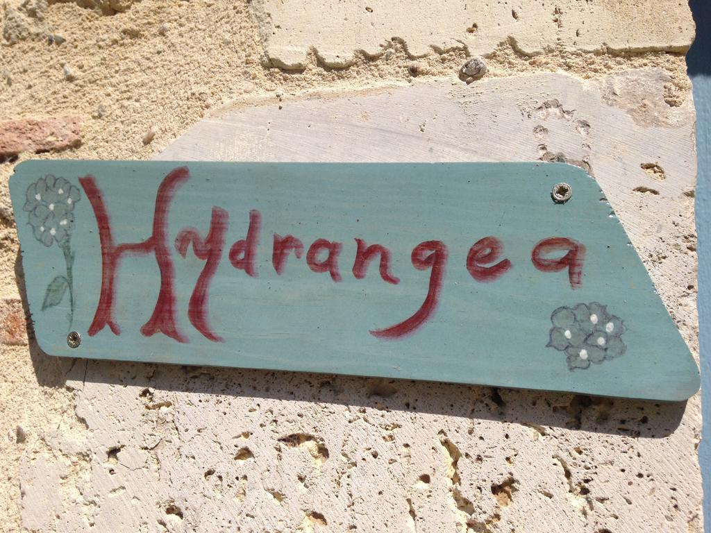 Sainte-Bazeille Chambres D'Hotes Du Clos Semper Felix מראה חיצוני תמונה
